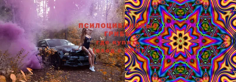 Галлюциногенные грибы Magic Shrooms  Хотьково 